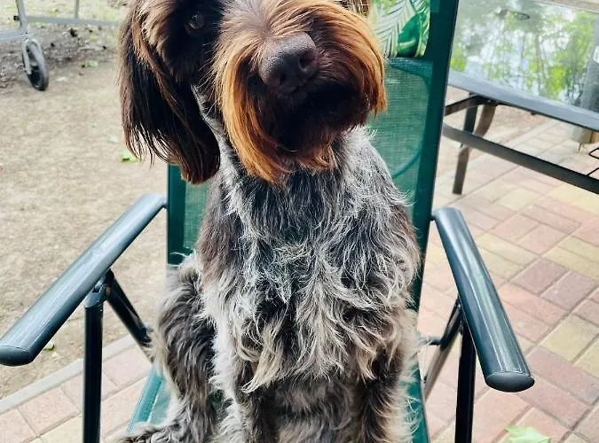 Kunfi Apartmanhaz - Jakuzzi, 4 Halo *